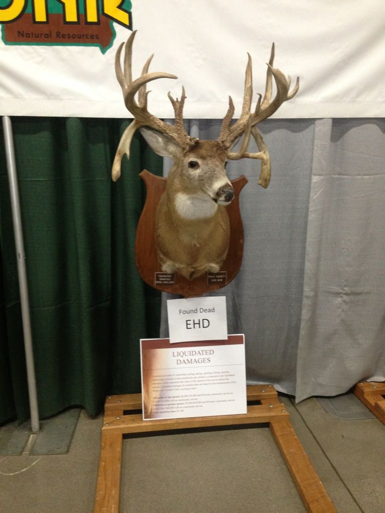 2013 Iowa Deer Classic Photos Iowawhitetail forums